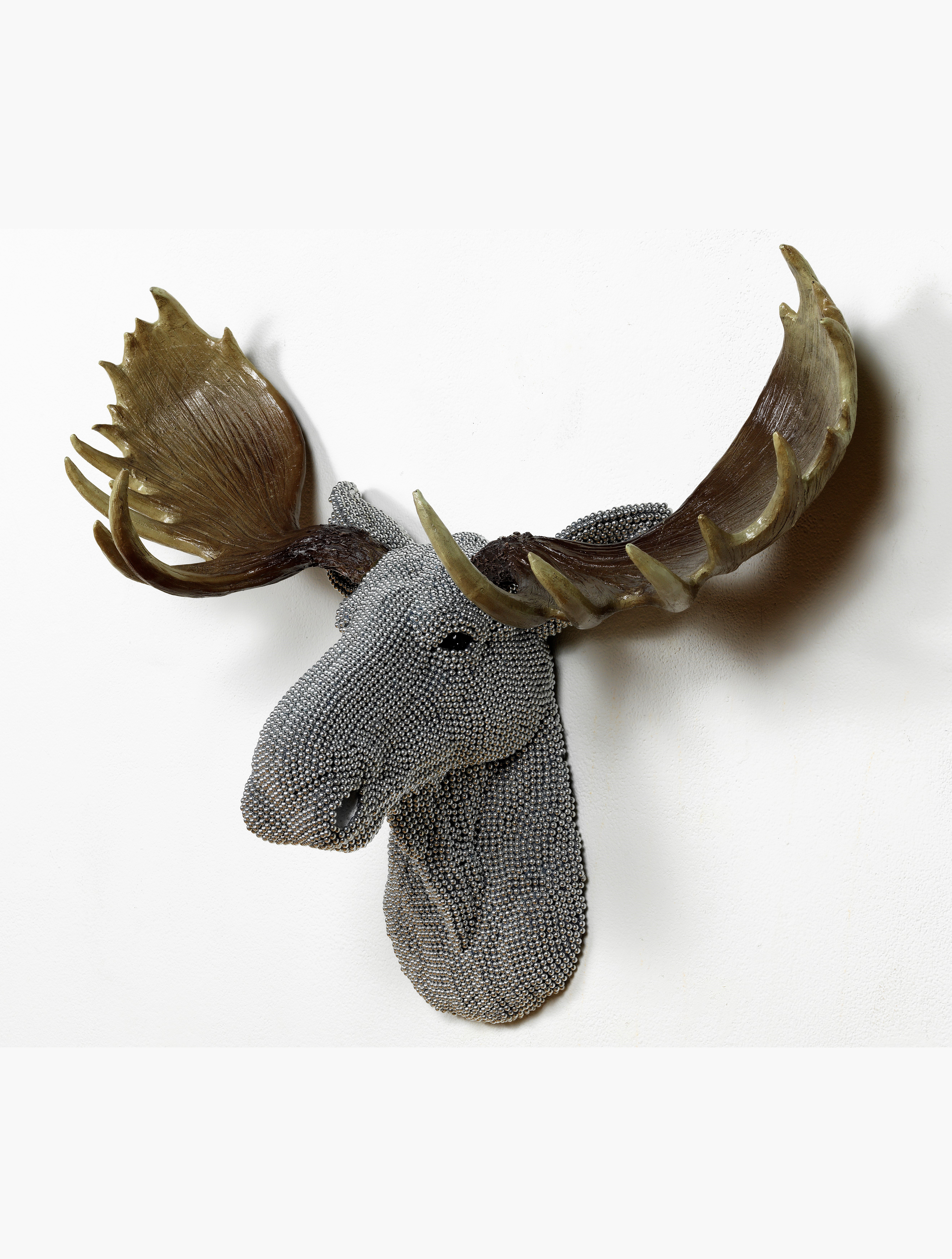 Courtney Timmermans, Moose (side view), 2012
